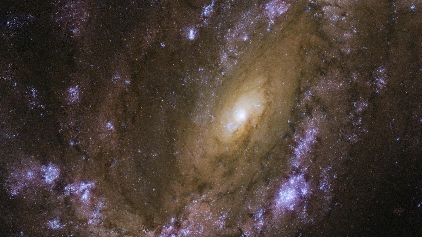 spiral galaxy NGC 4051